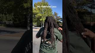 My FreeForm Locs freeformlocs freeform youtubeshorts fyp locs [upl. by Fawcette]