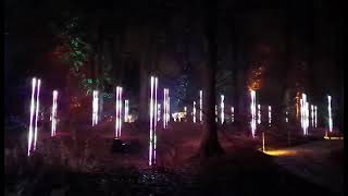 Dunham Massey Christmas light show Part 2 [upl. by Wang136]