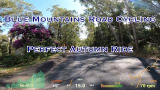 Blue Mountains  Perfect Autumn Day around Springwood [upl. by Zared765]