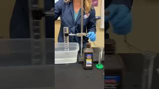 Enzyme Catalysis Lab Demo [upl. by Janenna]