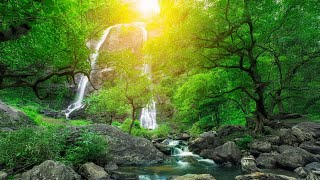 Relaxing Nature Video No Copyright  Amazing Nature Scenery amp Relaxing Music  Romance Post BD [upl. by Eirellam745]