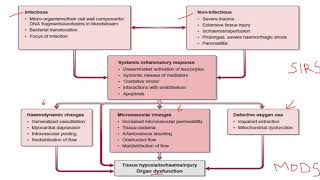 Systemic Inflammatory Response Syndrome SIRS [upl. by Adar]