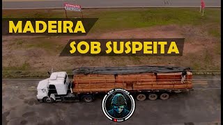 Operação Fronteira Brasil  Madeira Sob Suspeita [upl. by Gwenni292]