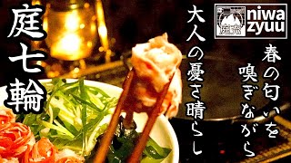 【庭七輪】春の匂いを嗅ぎながら大人の憂さ晴らし [upl. by Ahens]