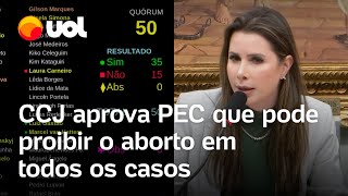 Aborto legal CCJ da Câmara aprova projeto que proíbe aborto mesmo em casos previstos em lei [upl. by Fini]