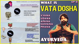 Ep 12 Vata Dosha Made Simple Easy Ayurveda Animations [upl. by Aitenev388]