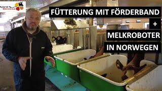 Milchkühen in Norwegen im Kuhstall mit Methanausstoß und Futteraufnahmemessungen [upl. by Yhtrod]