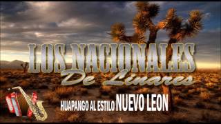 Los Nacionales de Linares El Huitlacoche Huapango [upl. by Treblih]