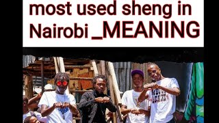 Mbogi Genje vs Madocho Sheng Dictionary part 1 [upl. by Gnilyam]