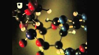 DNA Replication  DNA RNA and Protein Formation 27 [upl. by Wyatan]