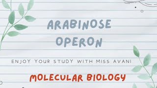 Arabinose Operon  Molecular Biology [upl. by Dukey]