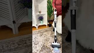 Ultimate Vacuum Showdown Putting Levoits Powerful Cleaner To The Test [upl. by Salchunas480]