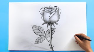 ROSE Drawing Easy 🌹 How to Draw a Rose step by step [upl. by Kemppe]