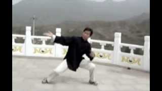 Master Yang SongQuan  Chen Taiji [upl. by Chin]