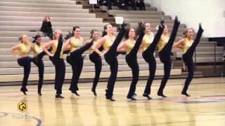 Dance Team 20152016 [upl. by Arv]