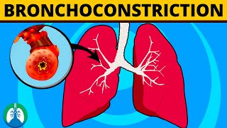 What are the Causes of Bronchoconstriction Wheezing  Respiratory Therapy Zone [upl. by Osnohpla]