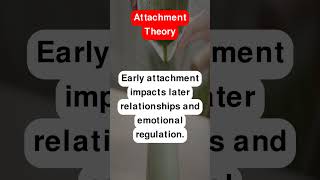 Attachment Theory [upl. by Enairda]