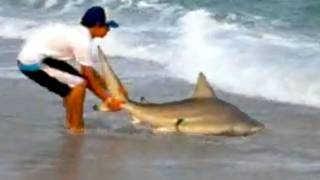 Shark Fishing on the Surf [upl. by Cornie]