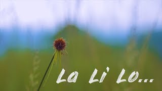 La Li Lo  Taim Kri  Mishmi Music Video HD  EDM [upl. by Beverlie]