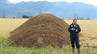 Chicken Manure Application and Sources [upl. by Stanway832]