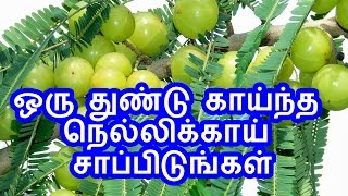 TamilTamil NattuTamil Nattu MaruthuvamTamil Siddha MaruthuvamTamil Natural MedicineSiddha [upl. by Madian441]