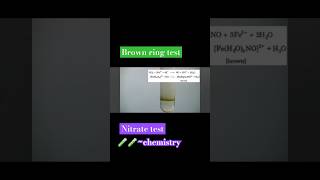 Nitrate test🧪🧪🧪chemistry trending reels youtube shorts viral short science experiment [upl. by Snebur7]