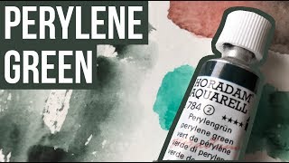 Perylene Green  Schmincke Horadam Watercolors  The Paint Show 34 [upl. by Anitnegra]