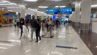 DUBAI AIRPORT  TERMINAL 1  DUTY FREE  DEPARTURE GATES  CONCOURSE D  DXB PEW PK284 [upl. by Hyacinthie]