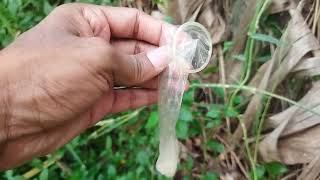 Best Popular condom New Use for beginners  Using a Condom  How to put on a condom  condom Review [upl. by Karab339]