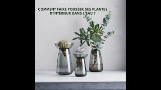 Comment faire pousser ses plantes d’intérieur dans l’eau [upl. by Enel]