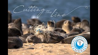 Cutting The Line Teaser 1 [upl. by Carena781]