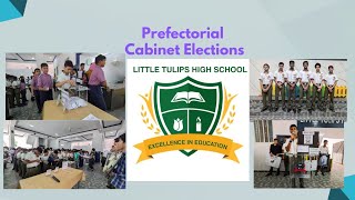 Little Tulips High SchoolPrefectorial Elections 2024 [upl. by Pressey]