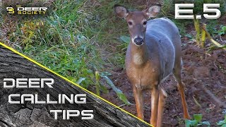 Deer Calling Tips  E5 quotUnderstanding Basic Doe Communicationquot [upl. by Amyas]