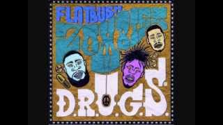 Flatbush Zombies  Intro DRUGS [upl. by Tiernan849]