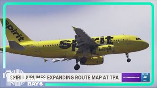 Spirit airlines expanding route map at TPA [upl. by Mal]