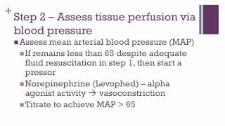 Severe Sepsis and Septic Shock Protocols [upl. by Ocirne]