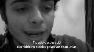 Codrin Bradea  Rap Lyrics [upl. by Ennaehr]