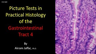 Picture tests in histology of the gastrointestinal system 4 [upl. by Nnahgiel580]