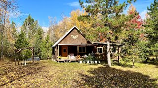 Fall Has Arrived On Our Northern Minnesota Homestead Cutting Slab Wood Filling Shed [upl. by Charley]