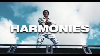 MELODIC NBA YoungBoy Type Beat  Harmoniesquot [upl. by Kemppe]