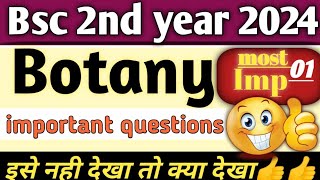 bsc 3rd semester botany important questions 2024 bsc botany [upl. by Assadah246]