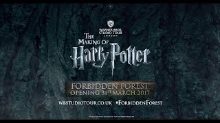 Forbidden Forest Announcement  Warner Bros Studio Tour London [upl. by Gasparo]