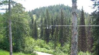 My First Zipline  Whitefish Montana 2 points of view [upl. by Neerod]