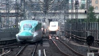 【JR東日本】ダイヤの乱れで信号待ち頻発の東北新幹線＠東京駅 [upl. by Ailad896]