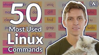 The 50 Most Popular Linux amp Terminal Commands  Full Course for Beginners [upl. by Bechler627]