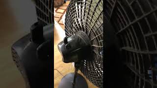 How to fix a Lasko Fan [upl. by Bab]