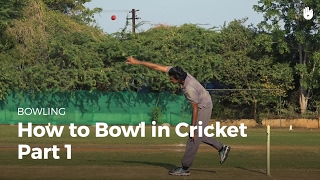 How to Bowl in Cricket  Part 1  Cricket [upl. by Baldwin]