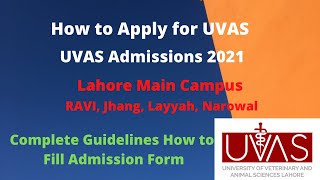 How to Apply for UVAS  UVAS Lahore  How to fill Admission form online for UVAS  UVAS Admissions [upl. by Atilol]