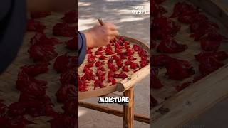 Processing Roselle Candies [upl. by Hanikas]