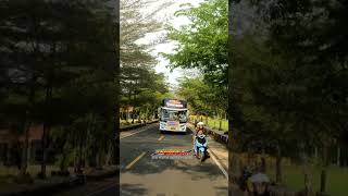 Bus telolet qq trans voltron bis basuri viral qqtrans [upl. by Arzed177]